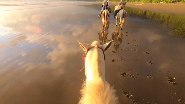 102 - What are sustainable tourism certifications? Exploring Rancho La Merced. смотреть онлайн