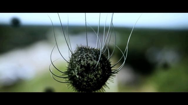 The Body Snatching Parasite from Assimilate Explored | A Quiet Invasion of Earth Explained смотреть онлайн