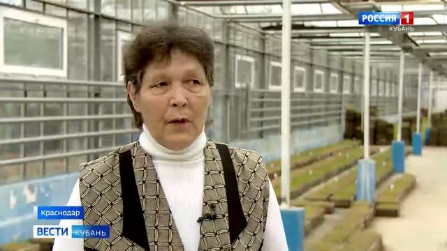 Селекция голозерного ячменя в Национальном центре зерна им. П.П. Лукьяненко смотреть онлайн