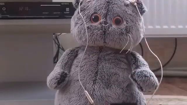 Кот Басик: Реакция на мои песни) 😍