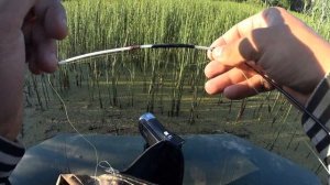 ВЕЧЕРОК НА БОКОВОЙ КИВОК, ЛОВЛЯ ЛИНЯ В ГУСТОМ ХВОЩЕ.