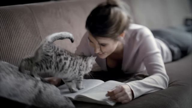 Whiskas® для котят - Где мама? смотреть онлайн