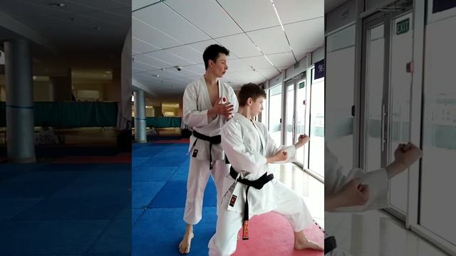 Хэйан Сандан для тренировки по каратэ дома смотреть онлайн