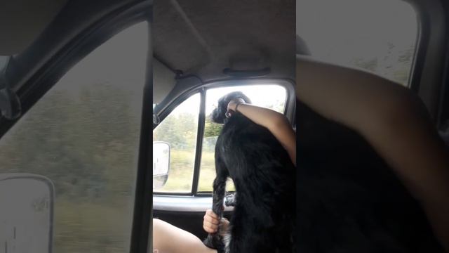 ДВИЖЕНИЕ -ЭТО ЖИЗНЬ, А ЖИЗНЬ- ЭТО ДВИЖЕНИЕ! смотреть онлайн