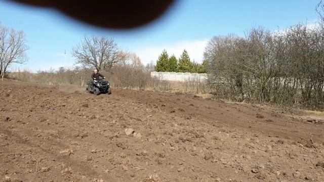 Синяк под фацелию и донник. Очень короткий обзор посадки медоносов на пасеке. Есть маты 18+. смотреть онлайн