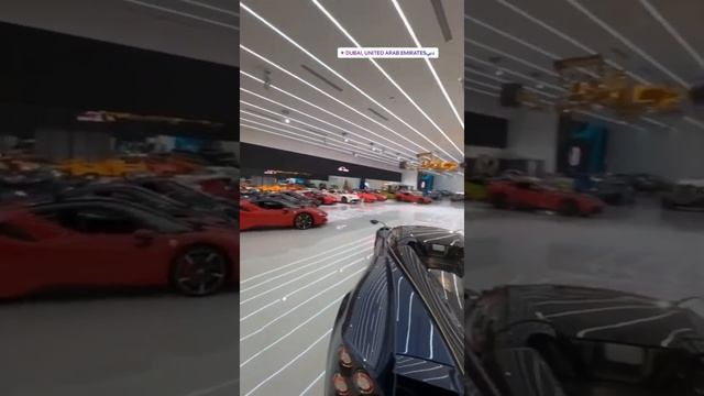 УСИК ОТРЫВАЕТСЯ В ДУБАИ ???? смотреть онлайн