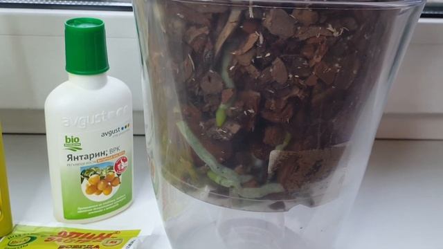 Нарастить корни орхидеи после пересадки Для роста орхидей смотреть онлайн