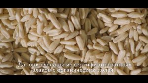 Gerber Organic снэки. Купите первыми в новом магазине Nestlebaby!