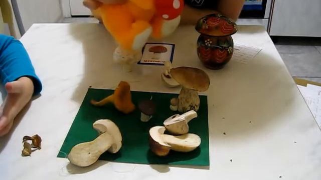 Развивающие занятия для детей от 2-5 лет. Тема Осень. Грибы. смотреть онлайн