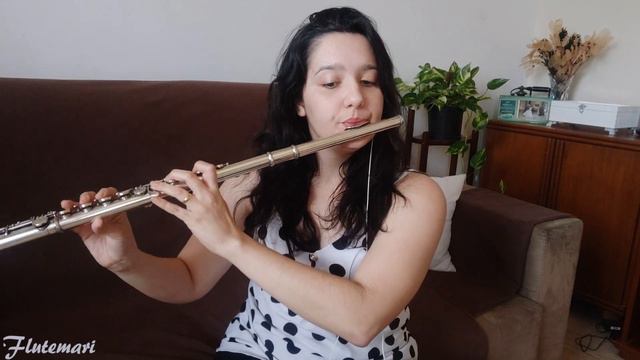 Trem das Onze - Samba na Flauta Transversal смотреть онлайн