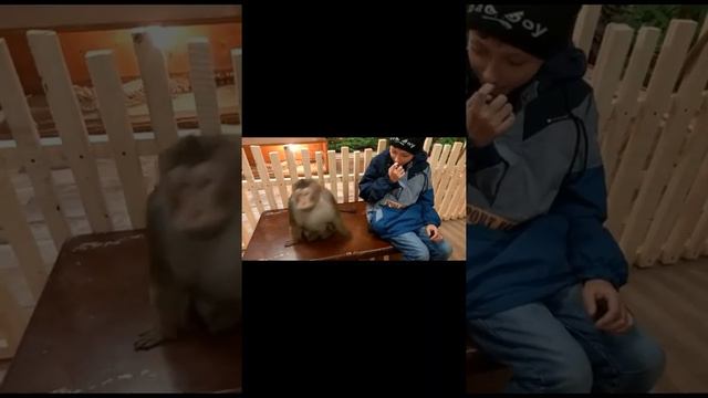 Поход в зоопарк(1 часть) смотреть онлайн