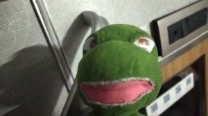 ЧЕРЕПУХУС В ПОЕЗДЕ 12