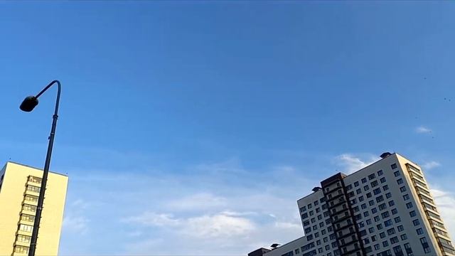 ЗИМА в Петербурге