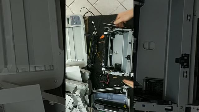 hp laserjet m1005 mfp заменает бумагу смотреть онлайн