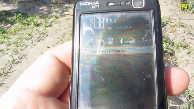 [Natalex] Виноградные помидоры от посадки до плода 2019... смотреть онлайн