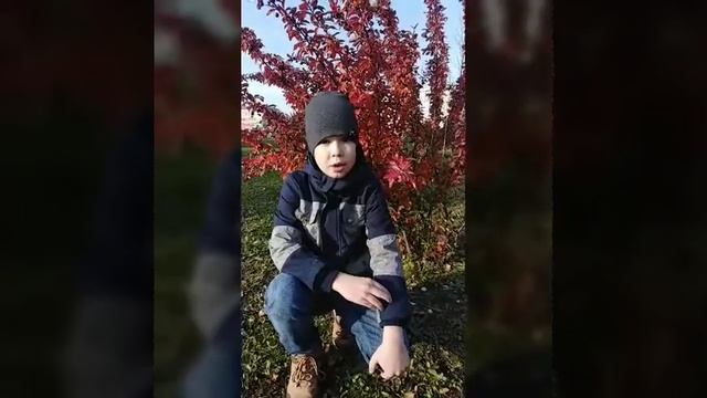 Стихи Сергея Есенина, 2 класс, 8 лет. Женя Кириллов, г. Серов смотреть онлайн