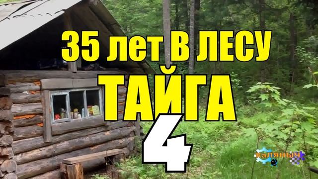 35 ЛЕТ В ГЛУХОЙ ТАЙГЕ _ ОТШЕЛЬНИК И НЕНЦЫ _ СТАРОВЕРЫ СВАДЬБА _ ПОТЕРЯЛ ДРУГА 4.mp4 смотреть онлайн