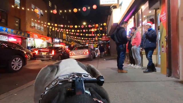 Hudson the Dog POV Walking Mott Street Chinatown New York City смотреть онлайн