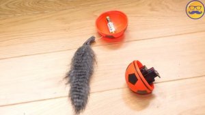 СИНИЙ МЕДВЕДЬ И ЖЕЛЕЙНЫЙ МЕДВЕДЬ ВАЛЕРА | БОЛЬШАЯ РАСПАКОВКА ПОДАРКОВ