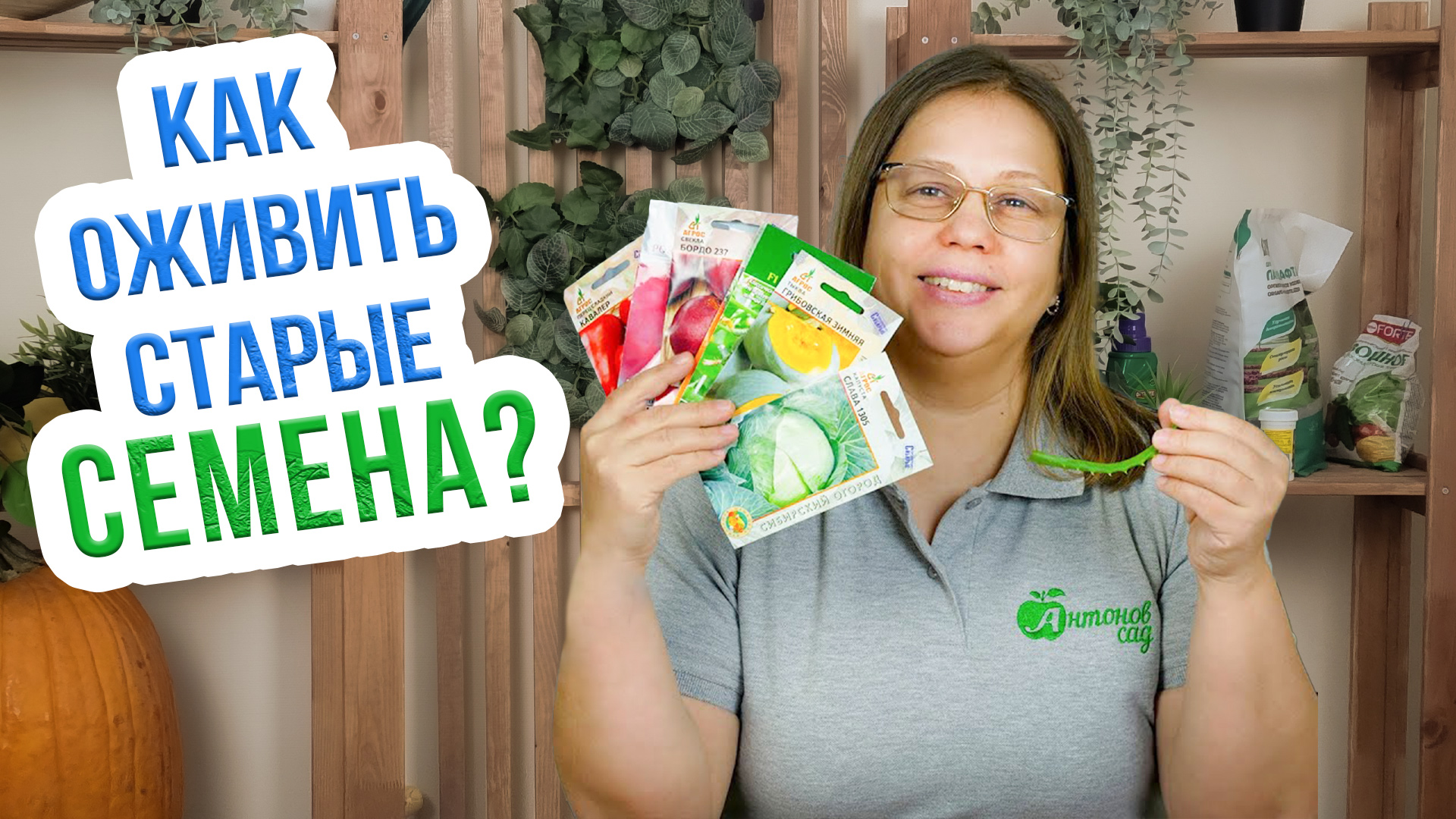 Как проверить семена на всхожесть Правильное хранение и проверка семян на всхожесть смотреть онлайн