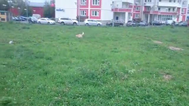 Привет из дома от Мэни смотреть онлайн