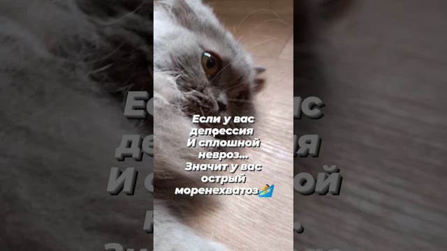 Ася британка