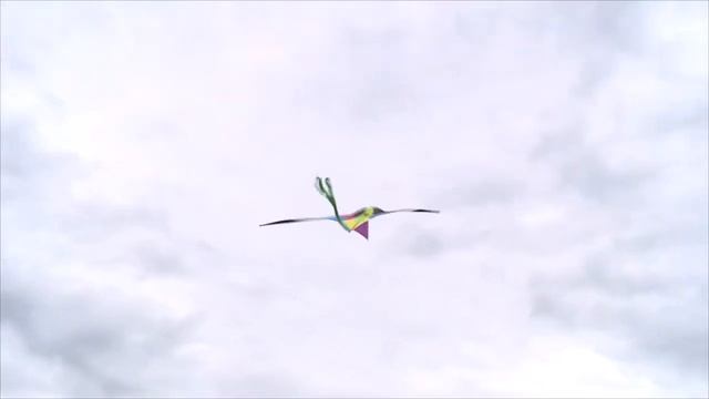 воздушные змеи