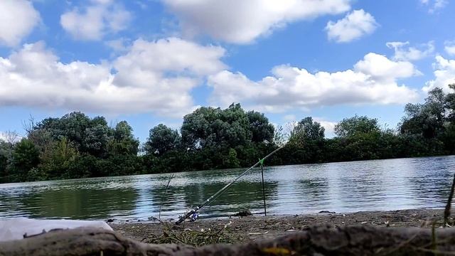 Бешенный клев карася.Рыбалка на реке Кубань.Краснодарский край. смотреть онлайн