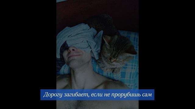 FIBR6 - Накатанное смотреть онлайн