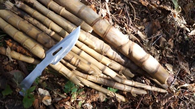 Лучший нож выживальщика, рубка бамбука ...) смотреть онлайн