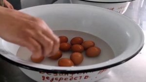 Санитарная обработка яиц.