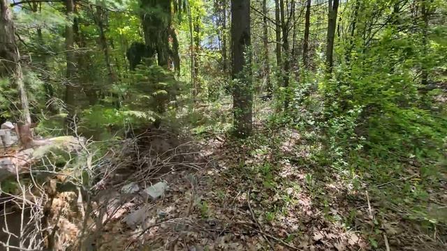 Corrupt Landlords Abandoned Log Cabins In The Woods l HE FLED THE COUNTRY смотреть онлайн