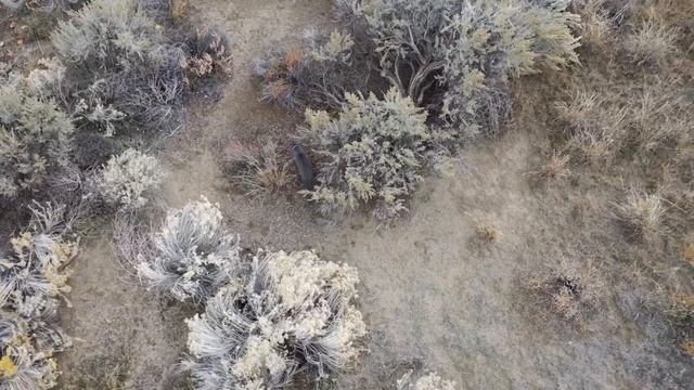 Моя жизнь в США. Zipi and Musya, США, штат Вашингтон, Ричланд смотреть онлайн