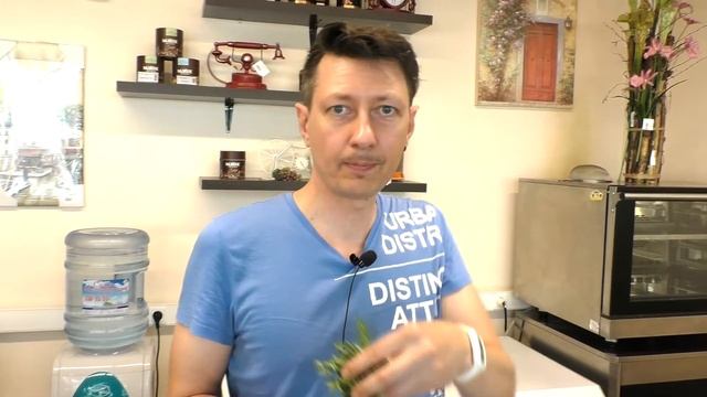 Домашний натуральный лимонад ТАРХУН смотреть онлайн