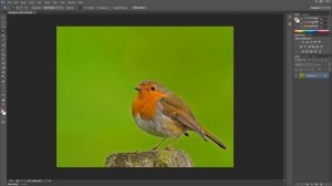 Photoshop для начинающих #16 (Волшебная палочка и быстрое выделение)