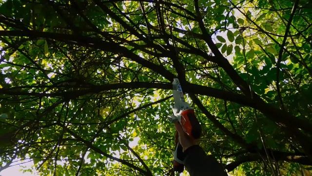 Тестируем новинку аккумуляторный сучкорез