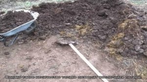 Как вносить навоз: основные требования при удобрении почвы органикой