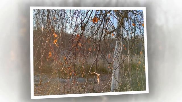 Под листьв золотистый цвет смотреть онлайн