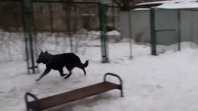 Ежевика 4 bestdog.mybb.ru смотреть онлайн