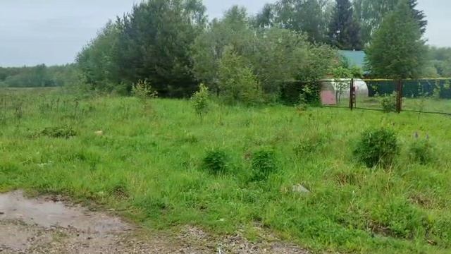 WhatsApp Video 2023-05-31 at 14.16.40 смотреть онлайн