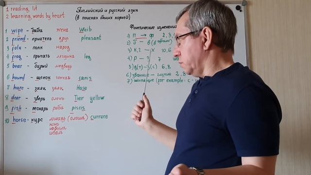Английский и русский язык:в поисках общих корней. смотреть онлайн