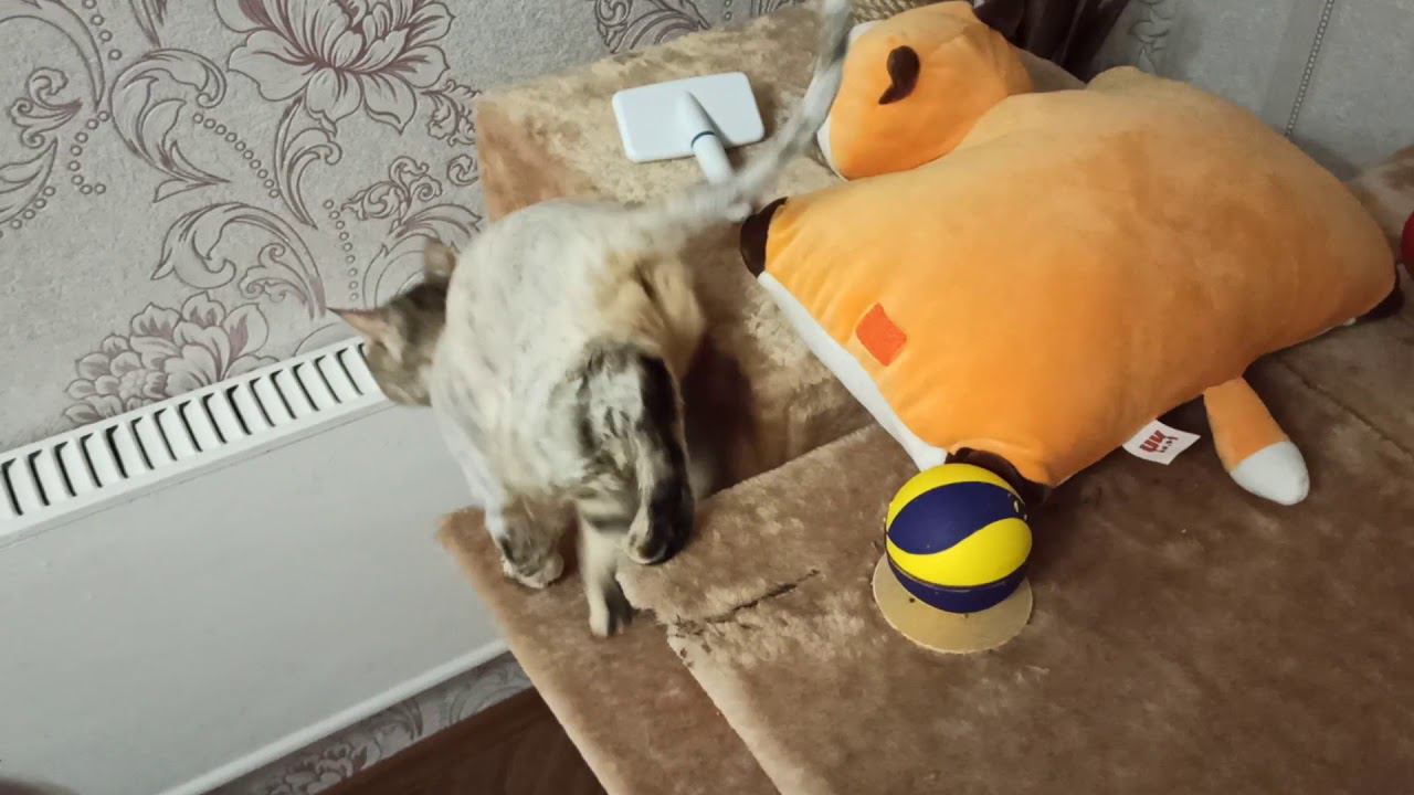 5 марта 2020 г. смотреть онлайн