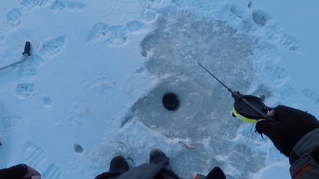 Ловля Окуня на Яйца зимой 2021.Уловистая приманка на окуня.Зимняя рыбалка на окуня.Окунь на балду смотреть онлайн