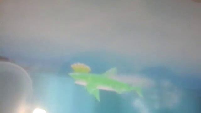 ОБЗОР НА АКУЛУ-МАКО смотреть онлайн