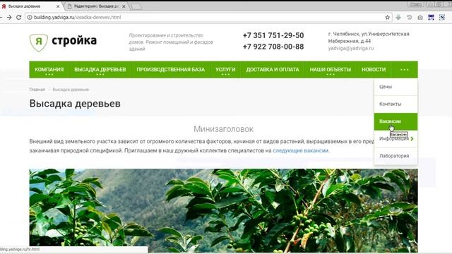 Как правильно разместить ссылку на Modx «Ядвига:Стартовый пакет» смотреть онлайн