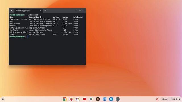 ChromeOS | Linux Development Environment | Update a single application in Flatpak смотреть онлайн