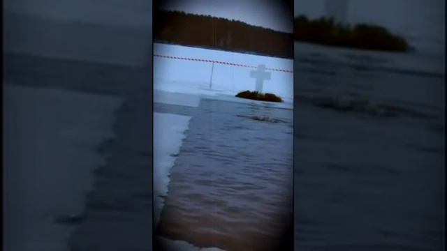 купание в проруби 19 01 2016 смотреть онлайн