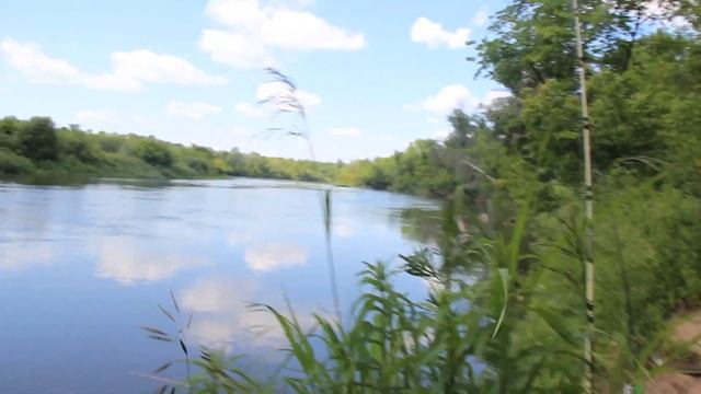 Природа и рыбалка в Пензенской обл. р.Сура. смотреть онлайн
