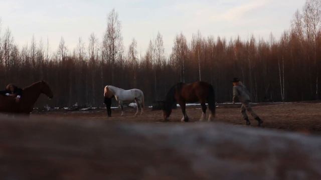 Влог худрука - Евгения Ткачука # 4 Театр «ВелесО». День N смотреть онлайн