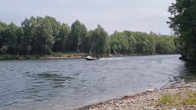 Рыбалка на реке Авача. По протокам на водомёте. Рыба есть!!! смотреть онлайн